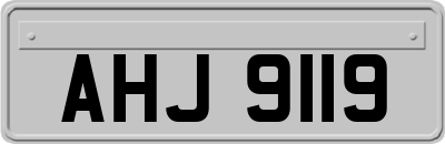 AHJ9119