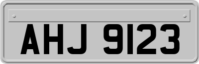 AHJ9123