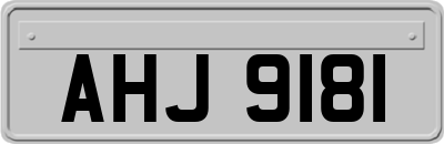 AHJ9181