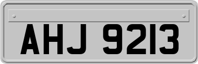 AHJ9213