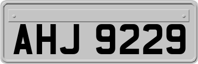AHJ9229