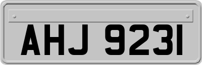 AHJ9231