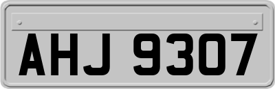 AHJ9307
