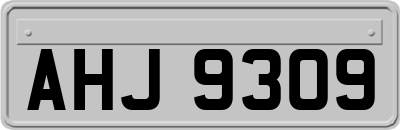 AHJ9309