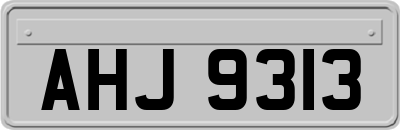 AHJ9313