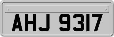 AHJ9317