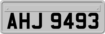 AHJ9493