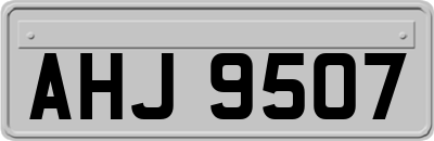 AHJ9507