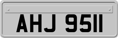 AHJ9511