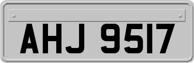 AHJ9517