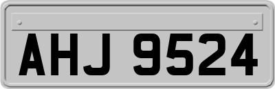 AHJ9524