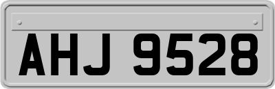 AHJ9528