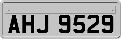 AHJ9529