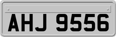 AHJ9556