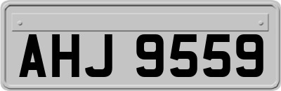 AHJ9559