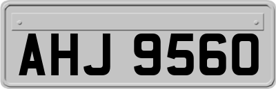 AHJ9560