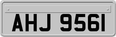 AHJ9561