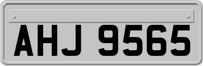 AHJ9565