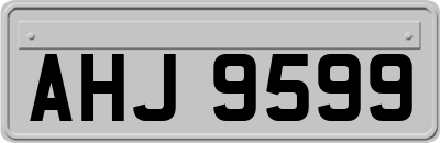 AHJ9599