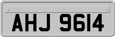 AHJ9614