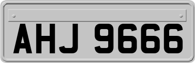 AHJ9666