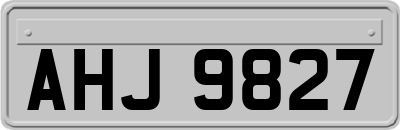 AHJ9827