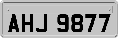 AHJ9877