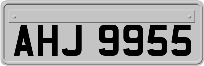 AHJ9955