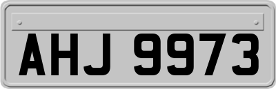 AHJ9973