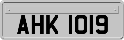 AHK1019