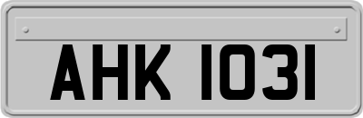 AHK1031