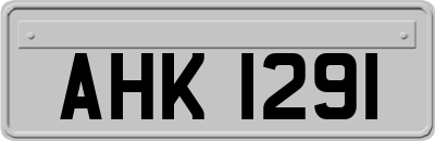 AHK1291