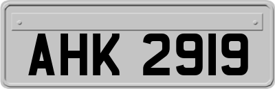 AHK2919