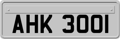 AHK3001