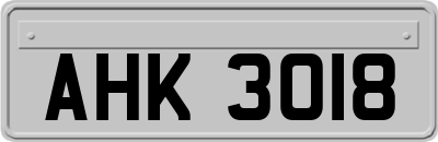 AHK3018