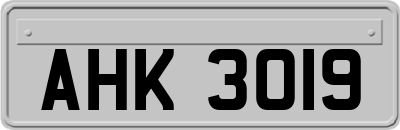 AHK3019