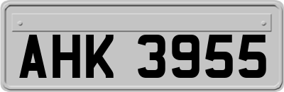 AHK3955