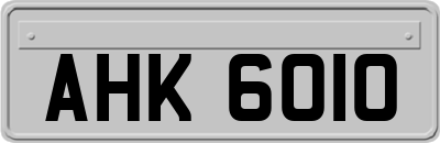 AHK6010