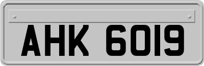 AHK6019