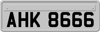 AHK8666