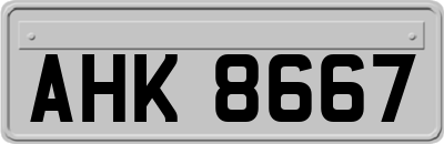 AHK8667