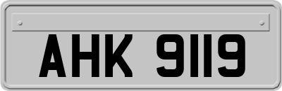 AHK9119