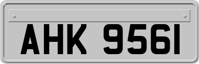 AHK9561