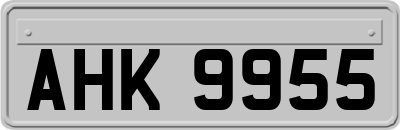 AHK9955