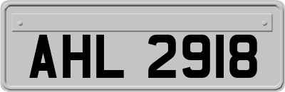 AHL2918
