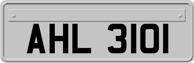 AHL3101