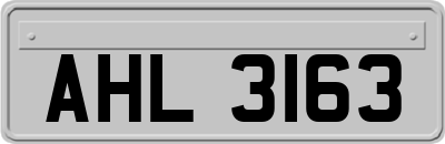 AHL3163
