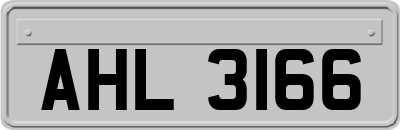 AHL3166