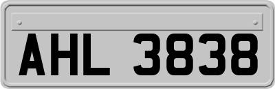 AHL3838