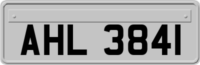 AHL3841